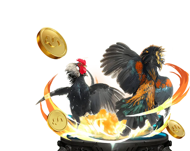 Bí quyết chơi đá gà thắng lớn tại 789 Club